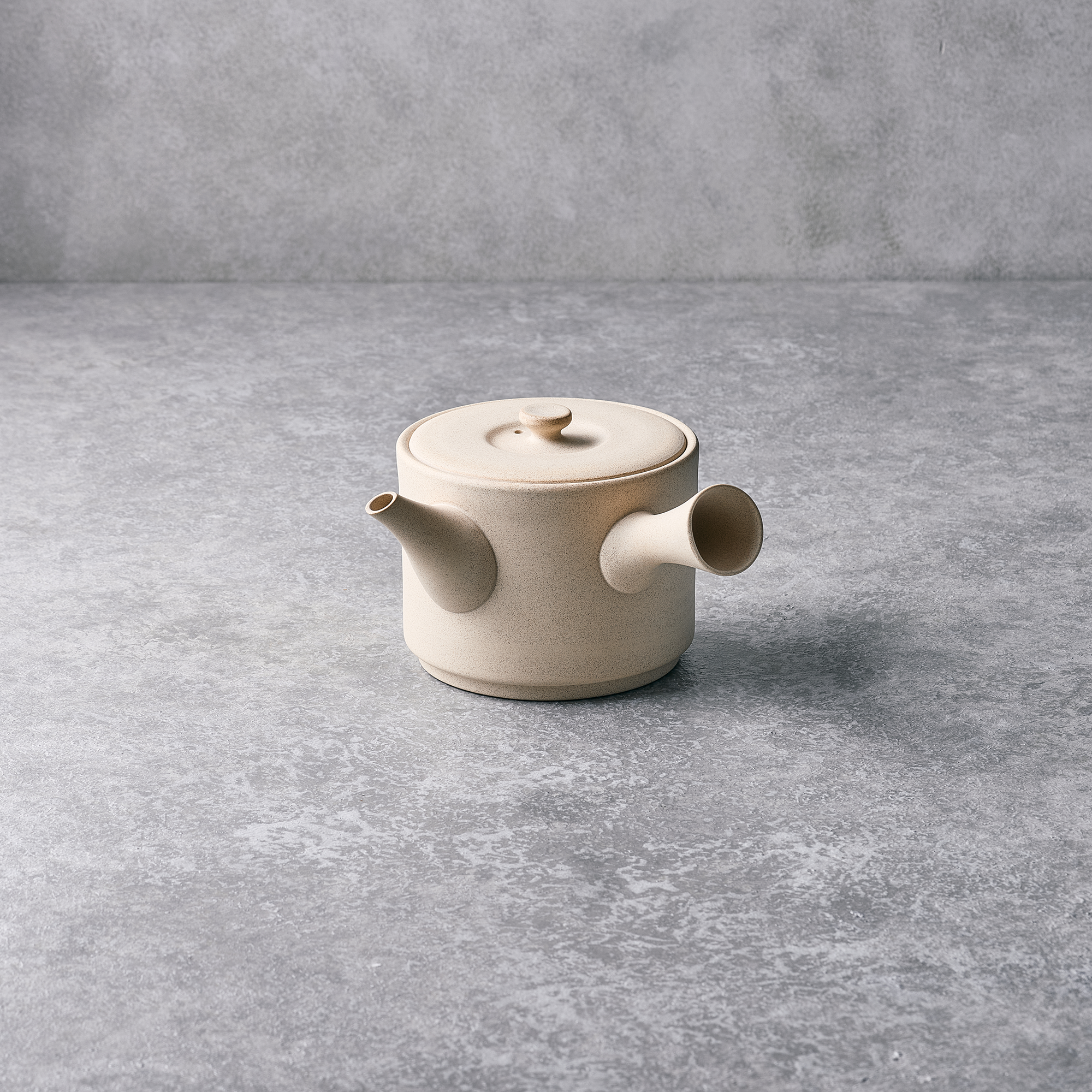 TOKONAME WARE YUSUKE WATANABE JINSUI KILN TOKONAME JAPANESE TEAPOT (700 ml) W7.2 x D6.7 x H4.3 in