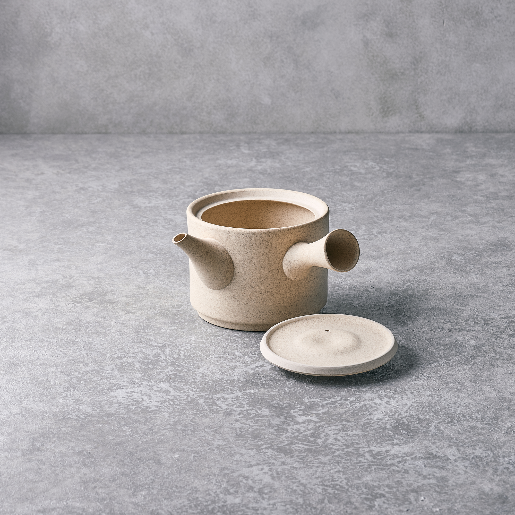 TOKONAME WARE YUSUKE WATANABE JINSUI KILN TOKONAME JAPANESE TEAPOT (700 ml) W7.2 x D6.7 x H4.3 in