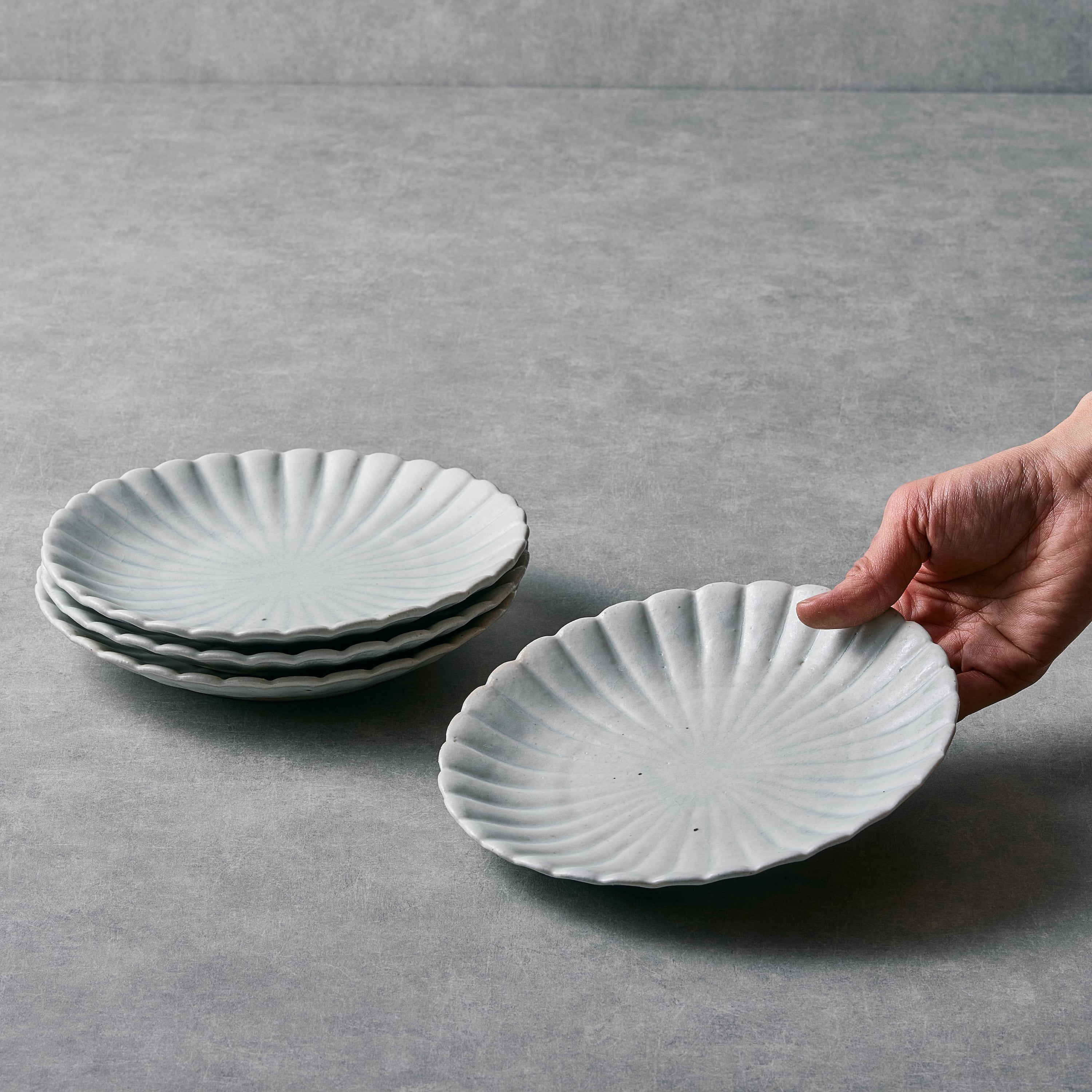 SHINJI HIDAKA WHITE FLOWER PLATE Φ7.1 in 白磁輪花6寸皿 菊
