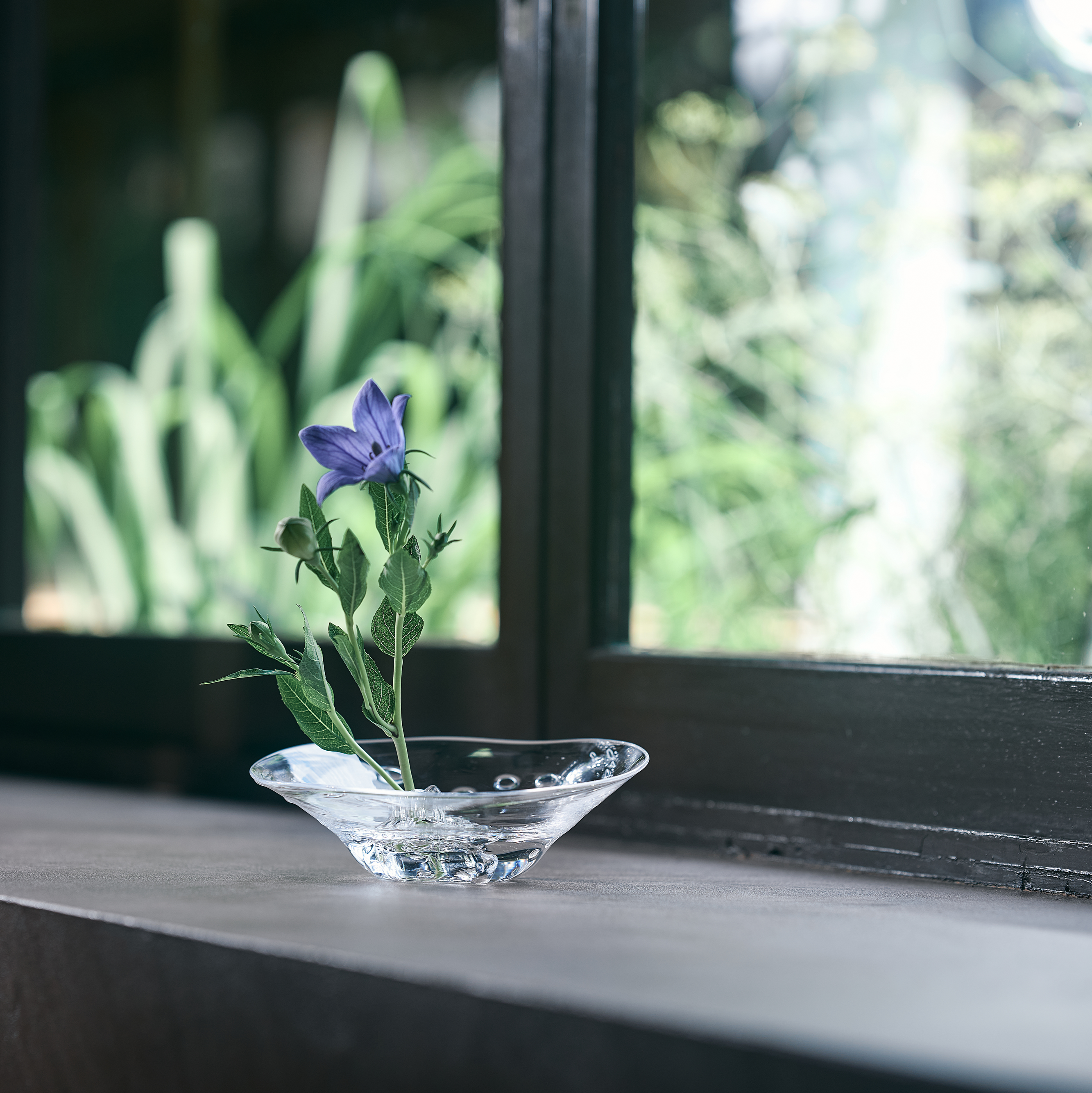 Daisuke Takatomi GLASS DISH / KIRARI HIRARI HIRARI bb