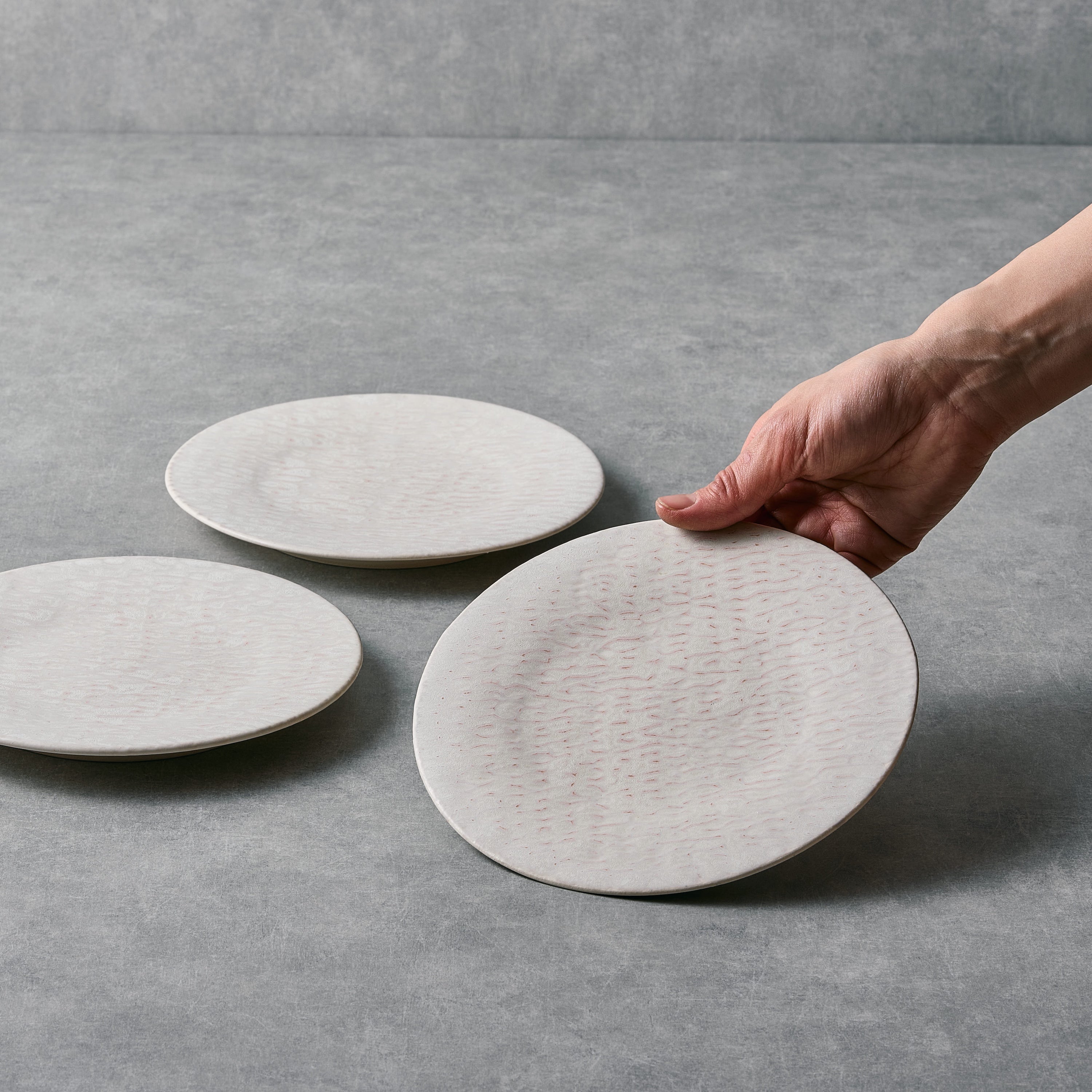 SOK ERIKA SUZUKI  FLAT PLATE 18cm 平皿テリーヌ